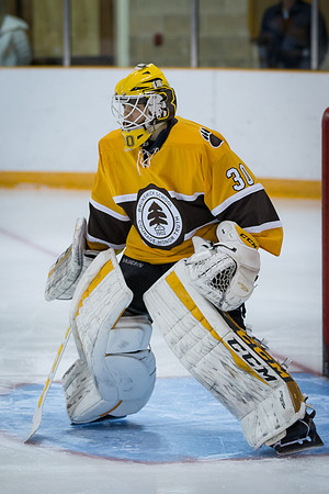 hockey_2016-12-07_jfess_2269