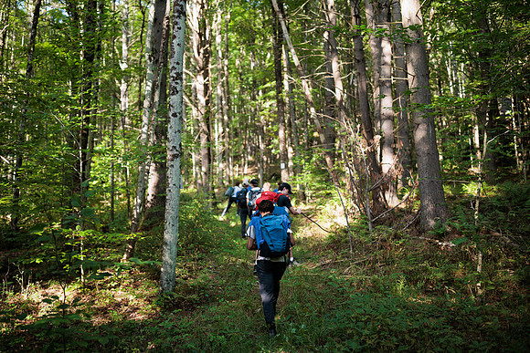 randolphvt2425_trip01-6124_bdf2_8991