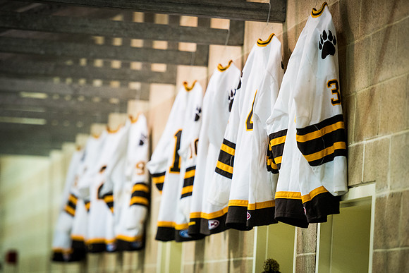 hockey_2016-02-17_wkl_8541