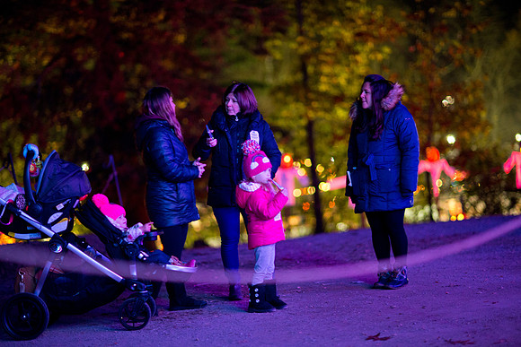pumpkinblaze19_mkras_0017