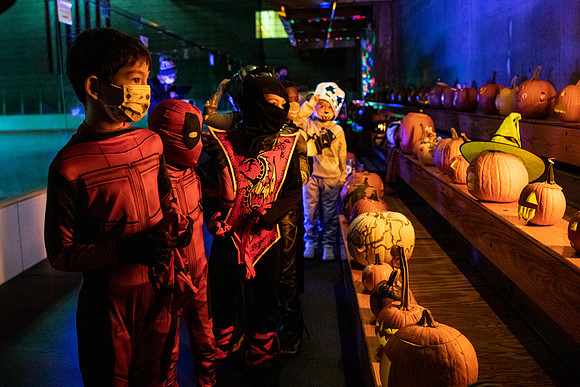 pumpkinparade_psls_wkl_4224
