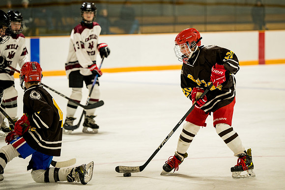 hockey_ms2_2025-01-29_ah_0010