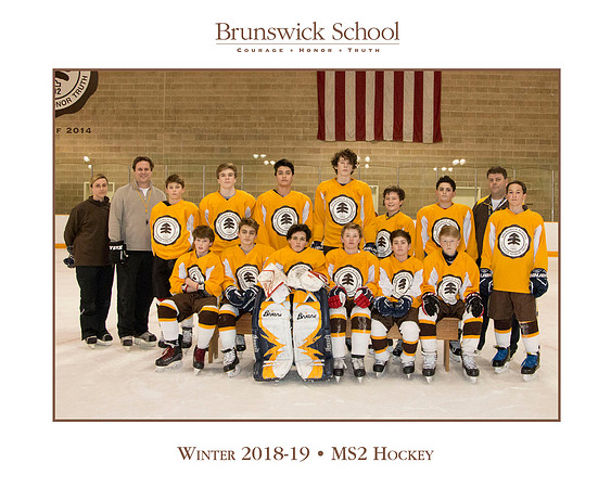 team_winter1819_hockey_ms2