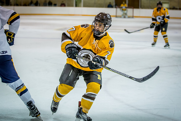 hockey_2017-12-11_jfess_1508