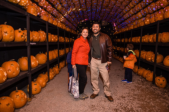 pumpkinblaze16_hp_9268
