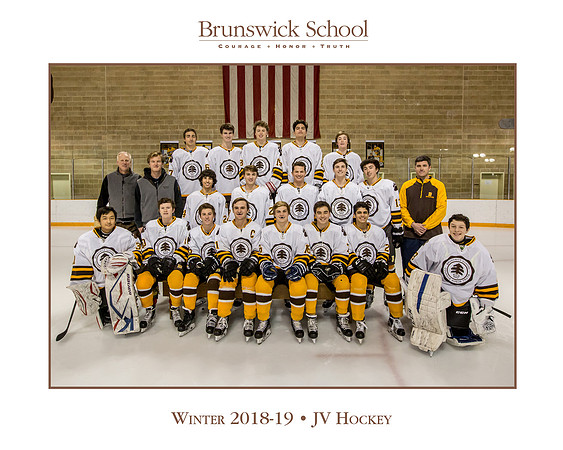 team_winter1819_hockey_jv