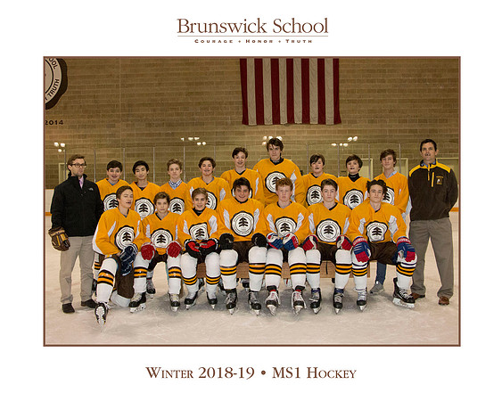 team_winter1819_hockey_ms1