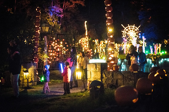 pumpkinblaze_wkl_3326