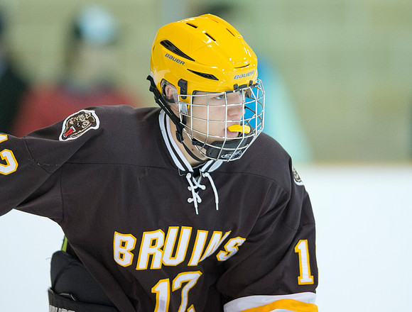 hockey_db_6031
