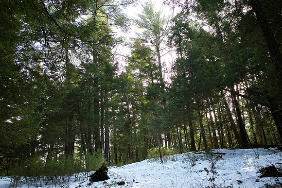 campdudley16_hike_bd_2249