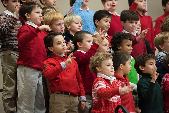 holiday_ls_hp_6259
