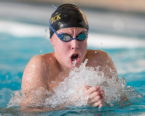 swimming_db_1758