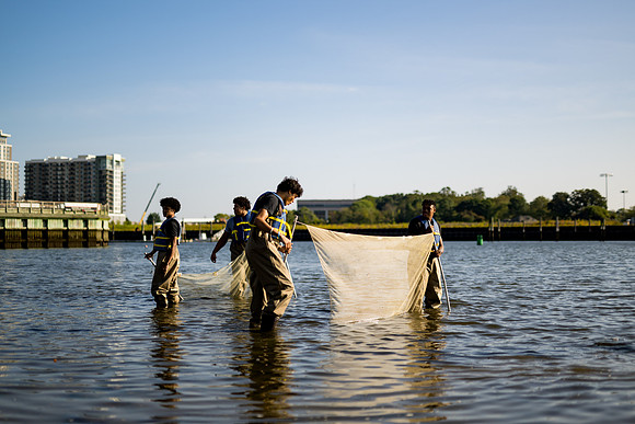 marinebio_soundwaters23_ah_0014