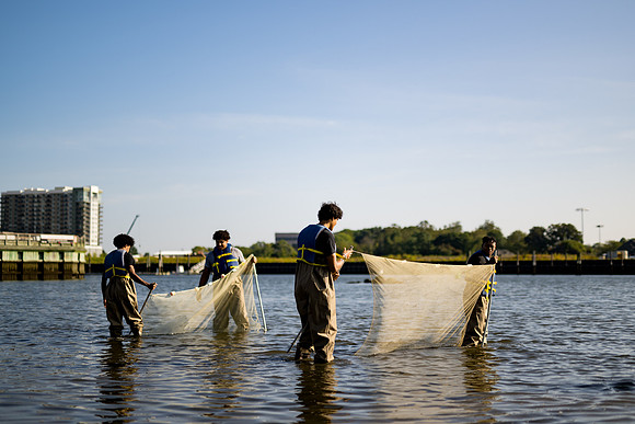 marinebio_soundwaters23_ah_0015