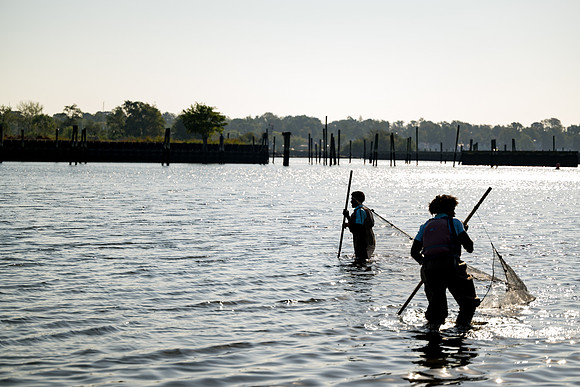marinebio_soundwaters23_ah_0017