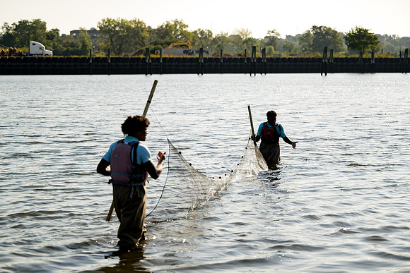 marinebio_soundwaters23_ah_0018