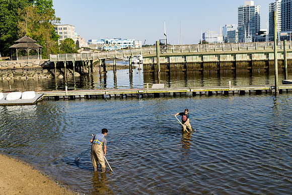 marinebio_soundwaters23_ah_0034