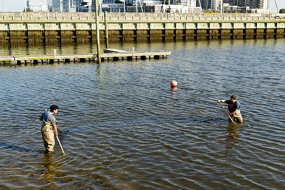 marinebio_soundwaters23_ah_0035