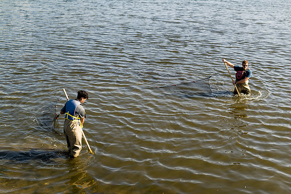 marinebio_soundwaters23_ah_0036