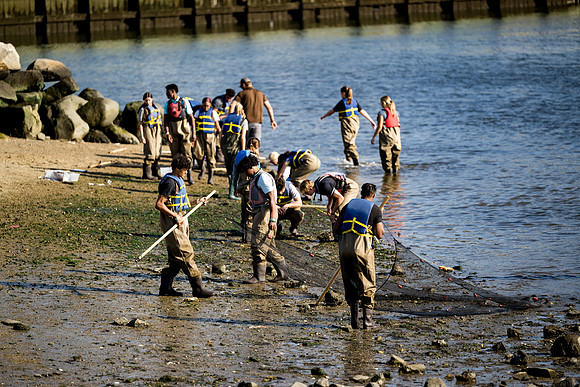 marinebio_soundwaters23_ah_0039
