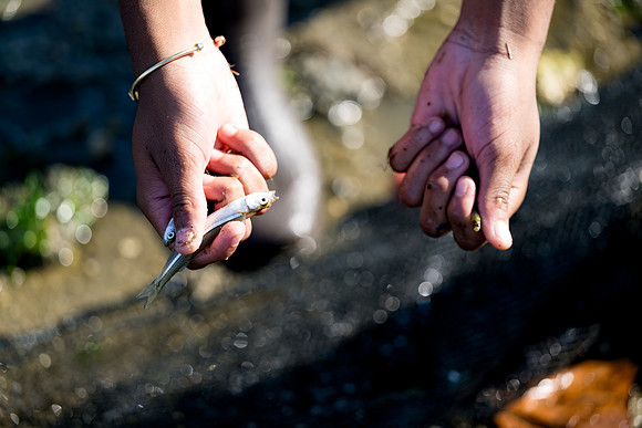 marinebio_soundwaters23_ah_0042