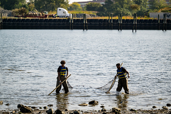marinebio_soundwaters23_ah_0047