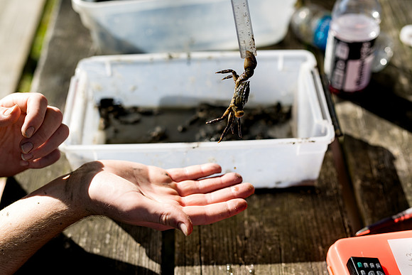 marinebio_soundwaters23_ah_0054