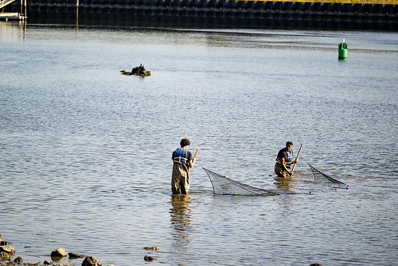 marinebio_soundwaters23_ah_0057