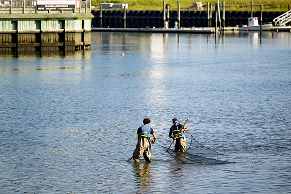 marinebio_soundwaters23_ah_0059