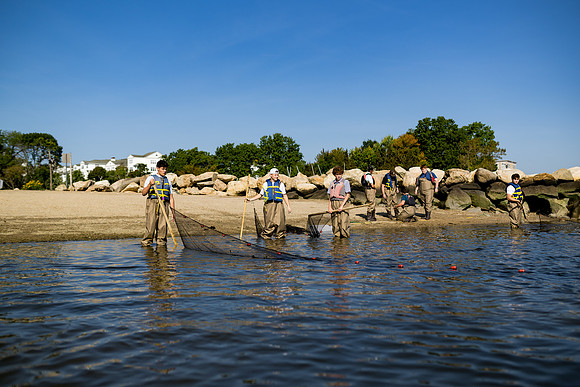 marinebio_soundwaters23_ah_0070