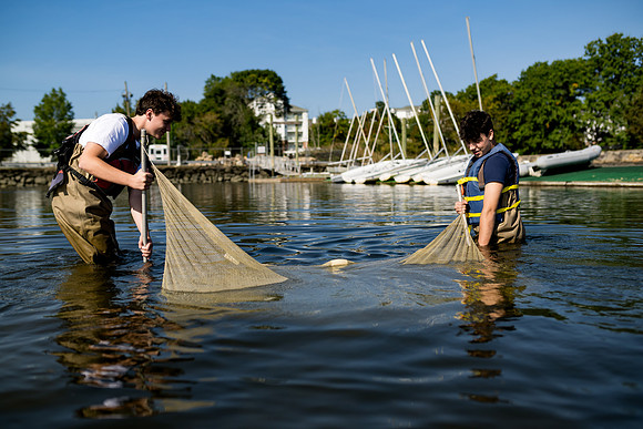 marinebio_soundwaters23_ah_0078