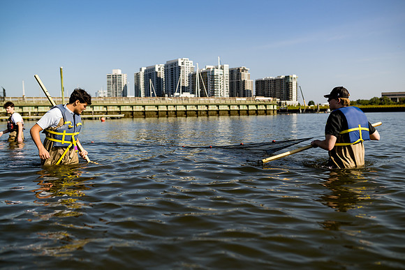 marinebio_soundwaters23_ah_0085