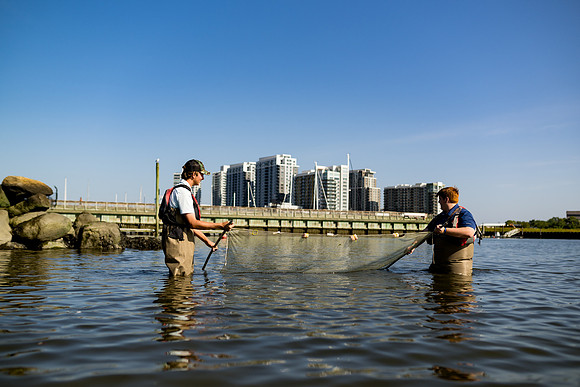 marinebio_soundwaters23_ah_0086