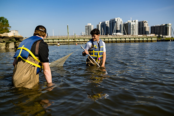 marinebio_soundwaters23_ah_0090