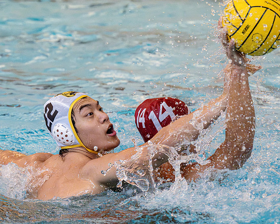 waterpolo_2023-10-06_dburns1_3431
