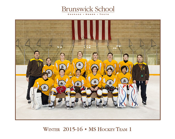 team_winter1516_hockey_ms1_jfess