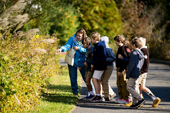 audubon_gr3_ah_0026