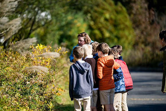 audubon_gr3_ah_0027