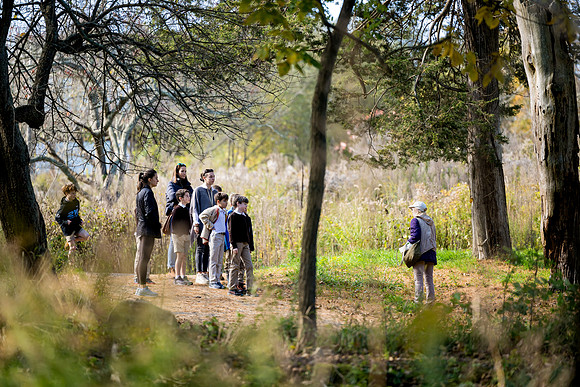 audubon_gr3_ah_0036