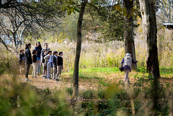 audubon_gr3_ah_0038
