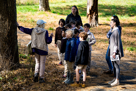 audubon_gr3_ah_0046