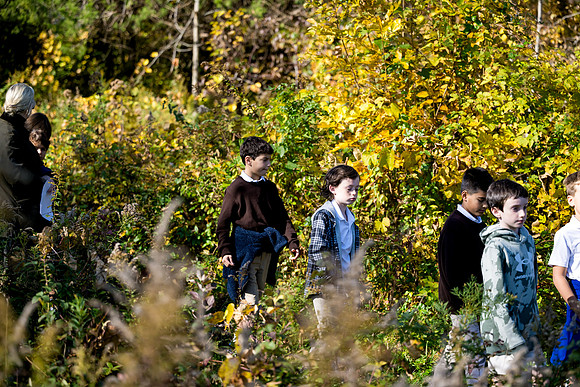 audubon_gr3_ah_0068