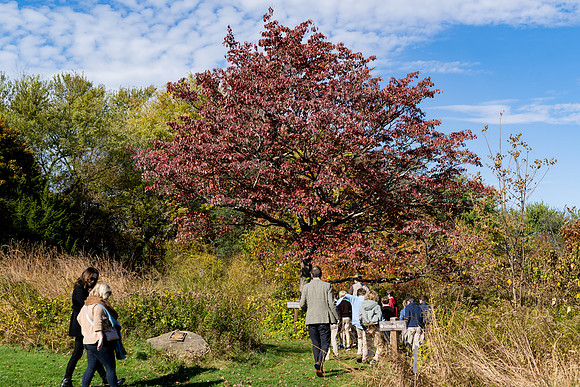 audubon_gr3_ah_0080