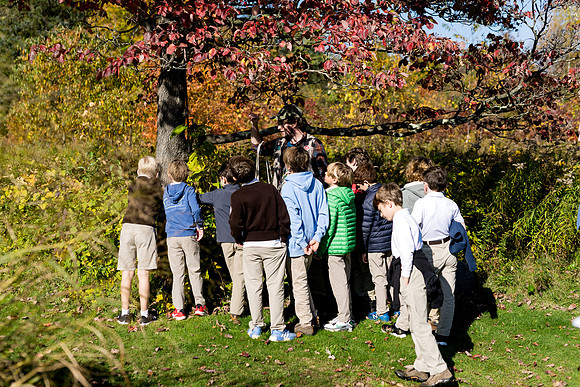 audubon_gr3_ah_0081