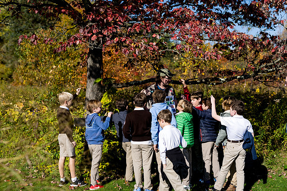 audubon_gr3_ah_0082