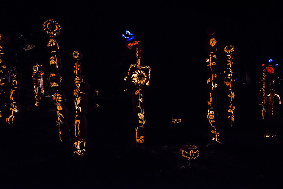 pumpkinblaze16_hp_9356