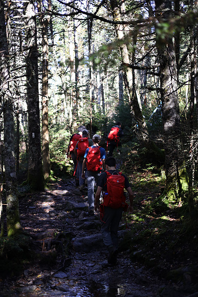 randolphvt2324_trip01-5323_submitted_lp_7862