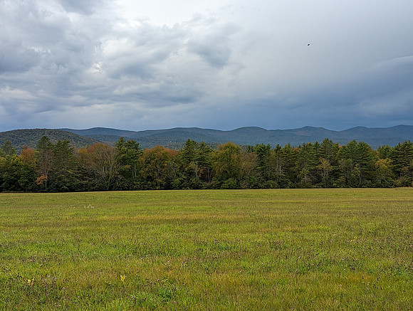 randolphvt2223_trip02_submitted_ddych_203501811