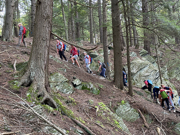 randolphvt2324_trip02-5423_submitted_lp_1782