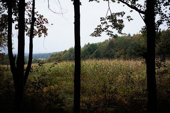 randolphvt2324_trip02-5423_bdf_3025